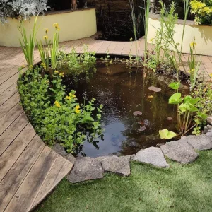 Deck Maintenance in Southampton, Fareham, Whiteley, Gosport, Eastleigh, Winchester and Romsey